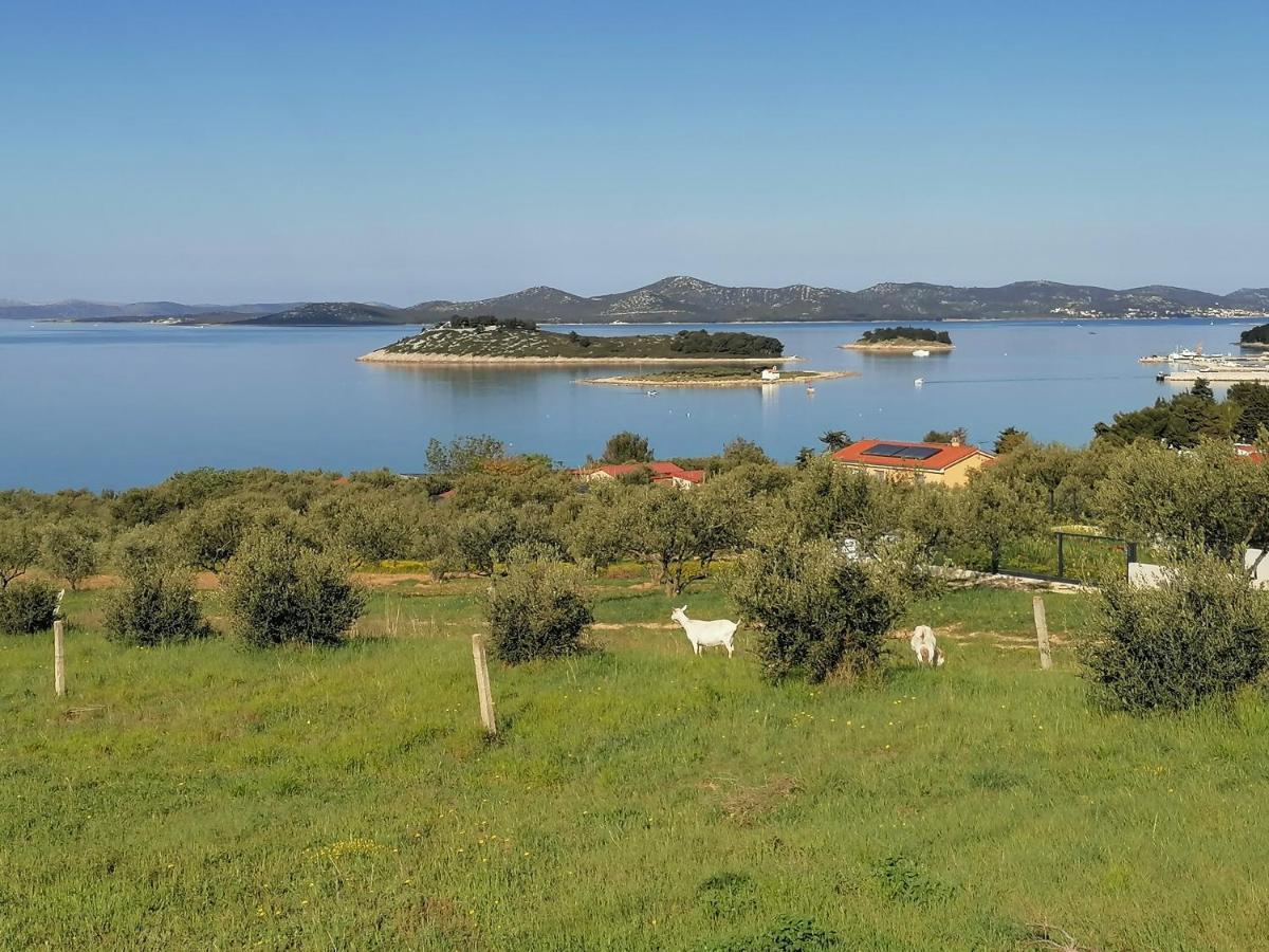Apartman 2 Punta Pakoštane エクステリア 写真